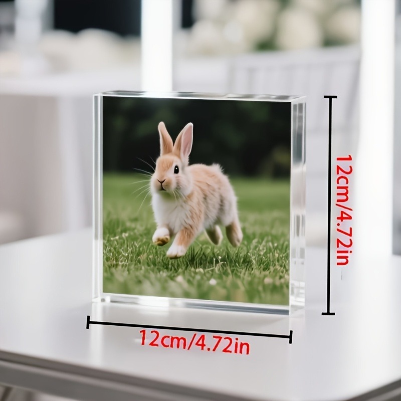 1PC Custom Photo   Acrylic Per - Photo Acrylic Block のレビューと価格