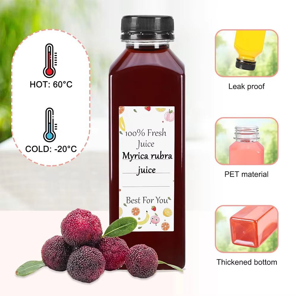 500ML Juice Bottles with Caps  - Water Bottle Blank のレビューと価格